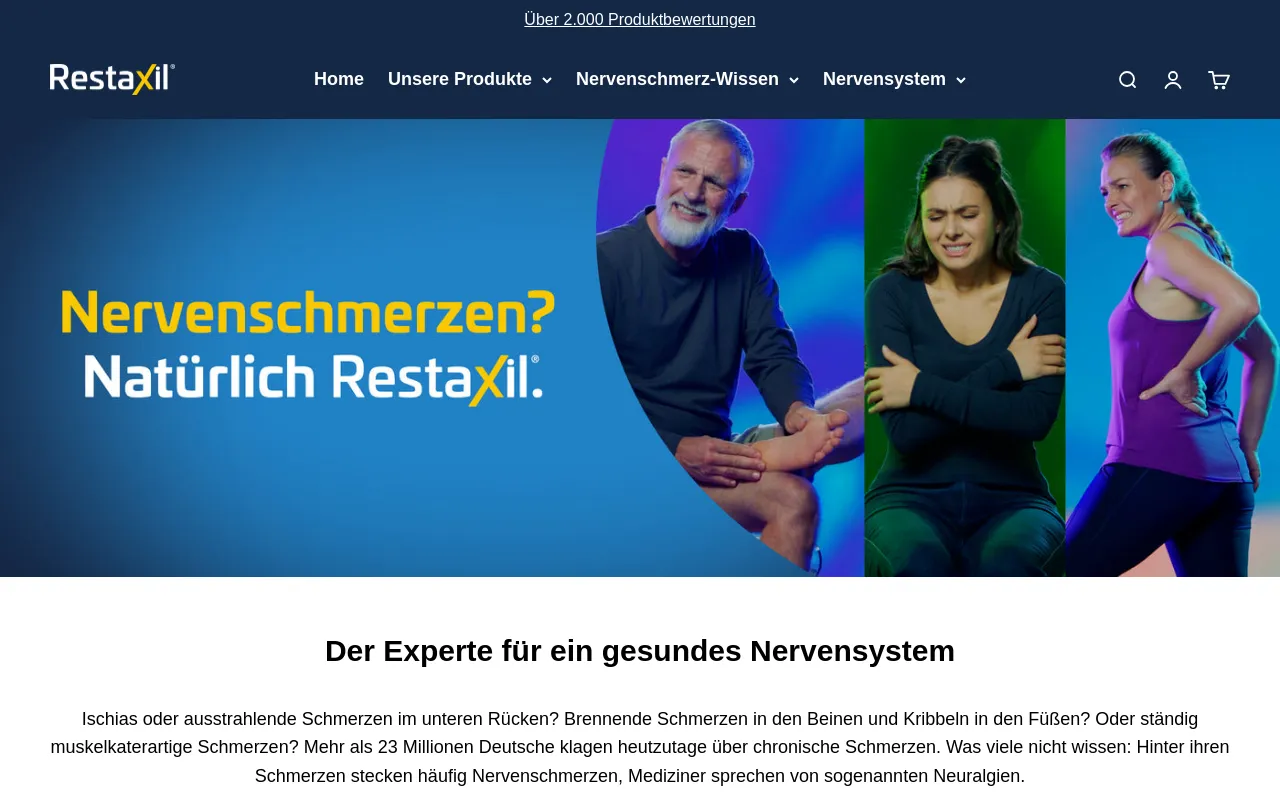 restaxil.de screenshot