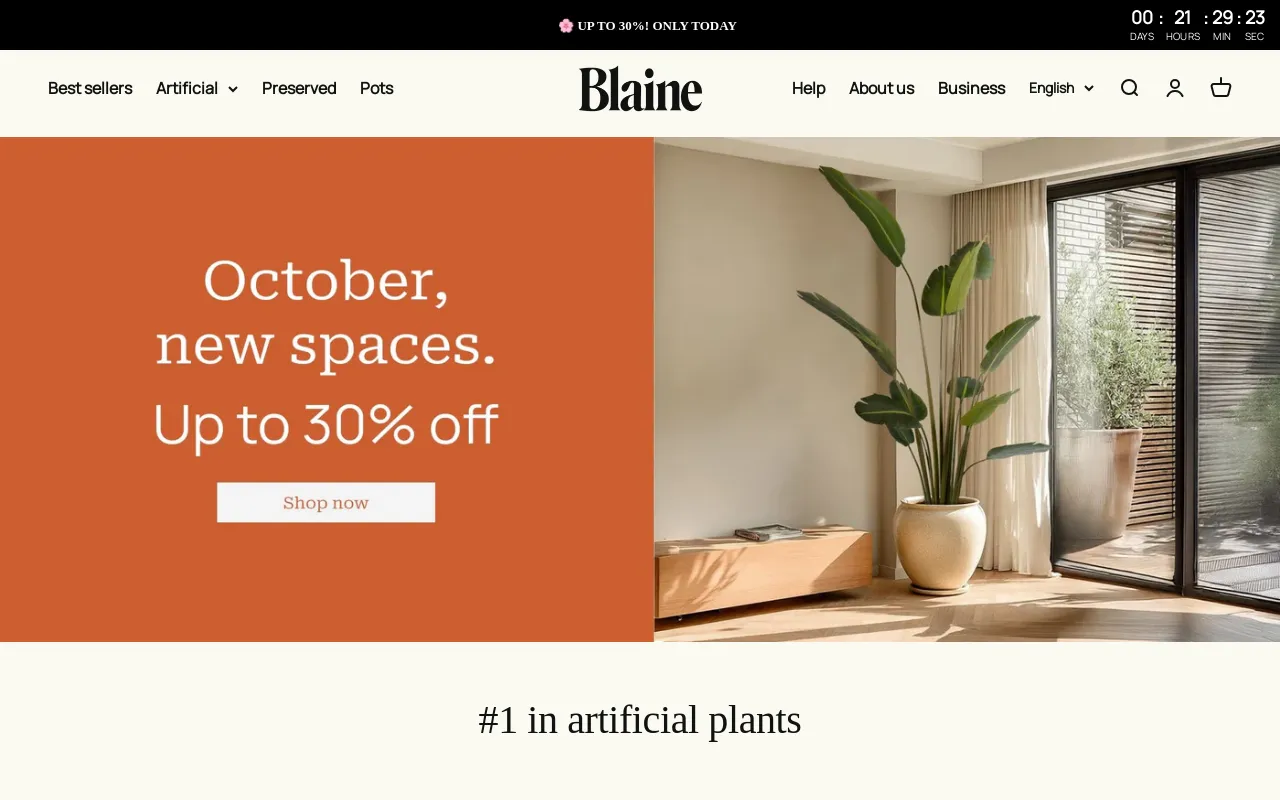 Blaine Box screenshot