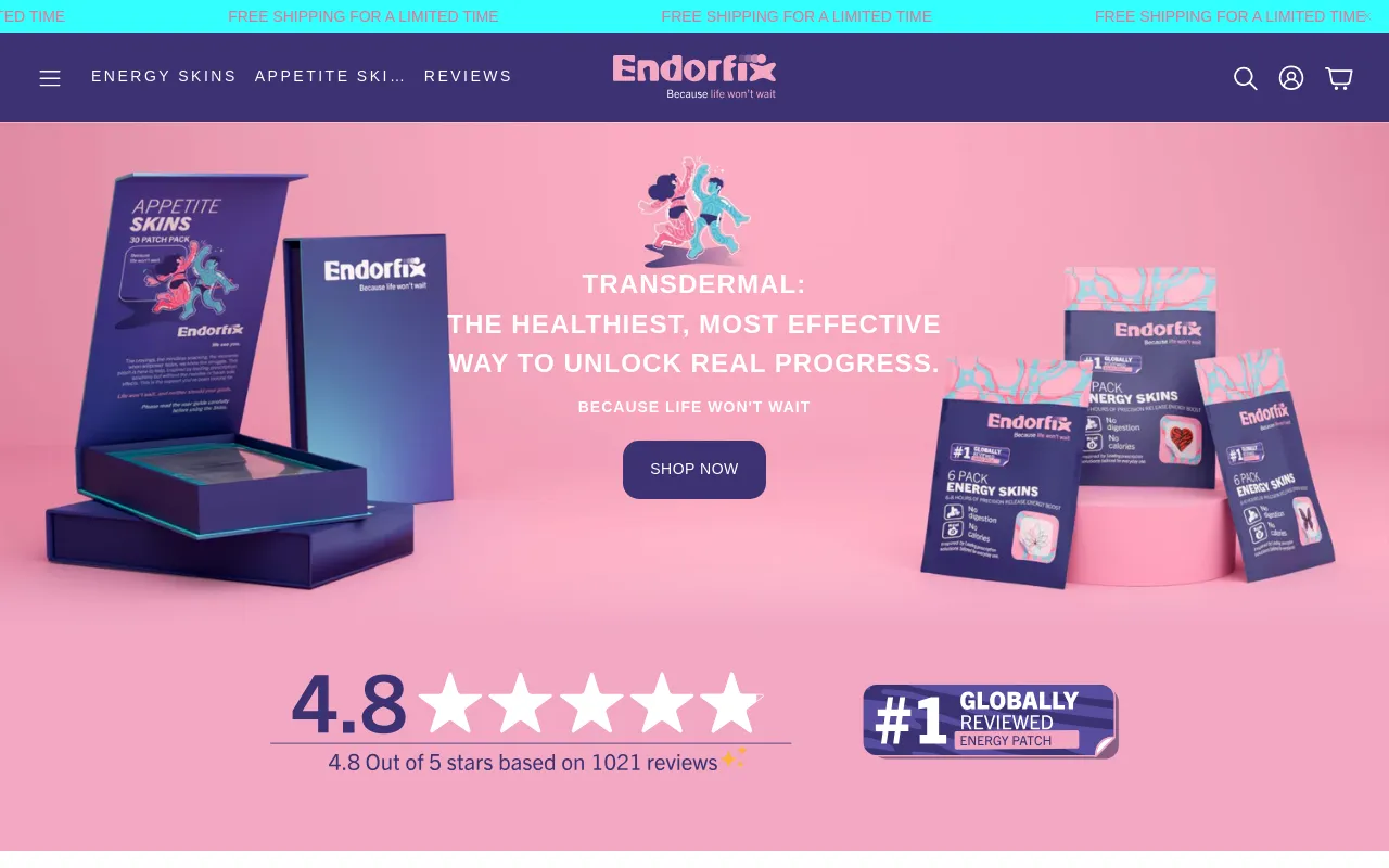 Endorfix Pty Ltd website screenshot