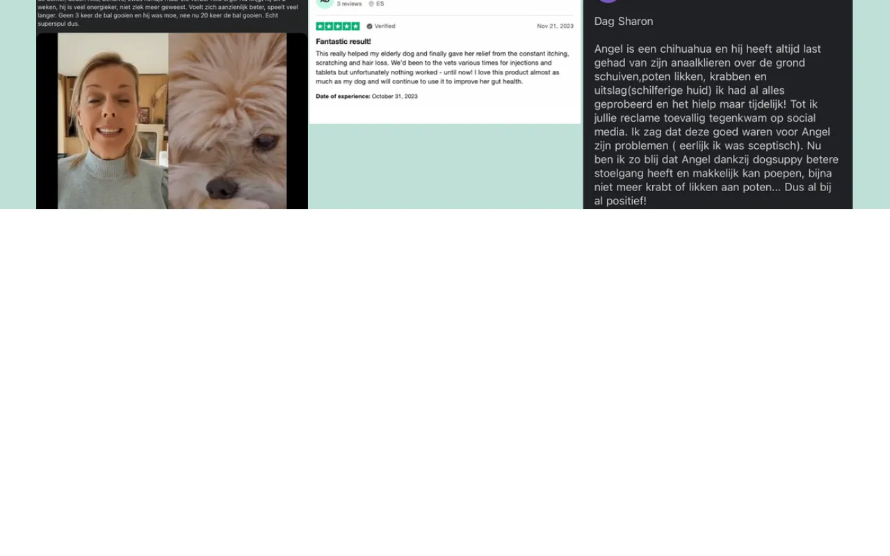 DogSuppy screenshot