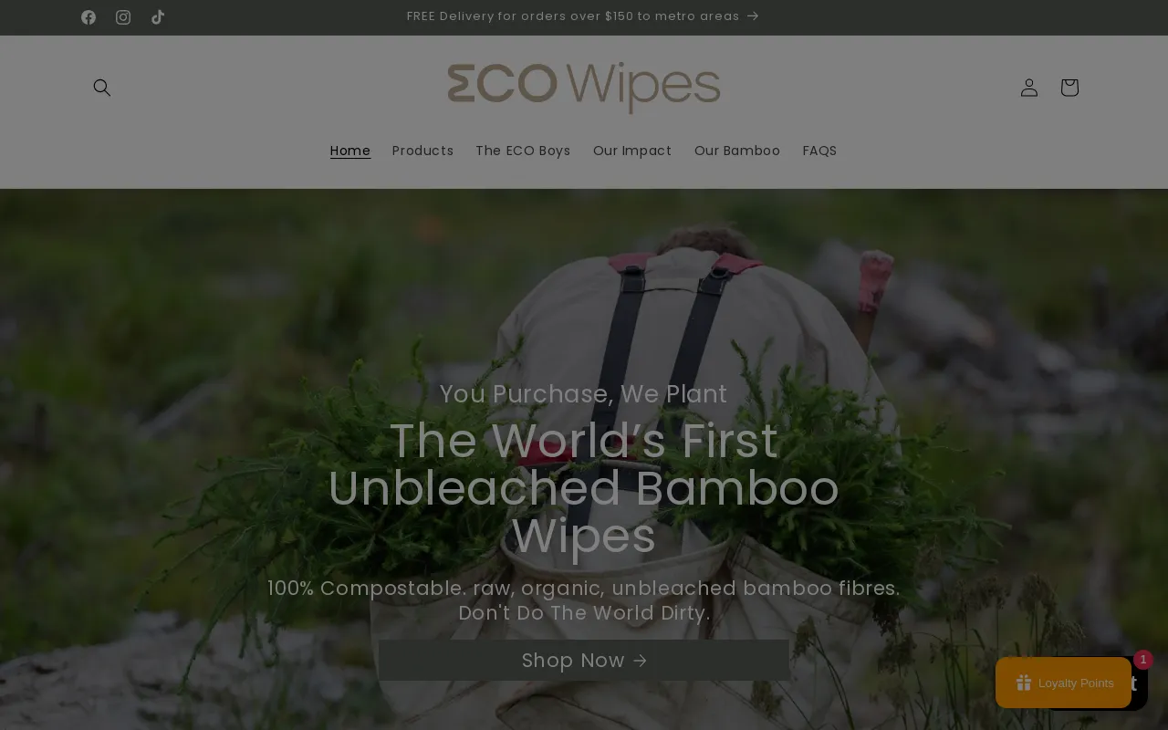 ECO Wipes website screenshot