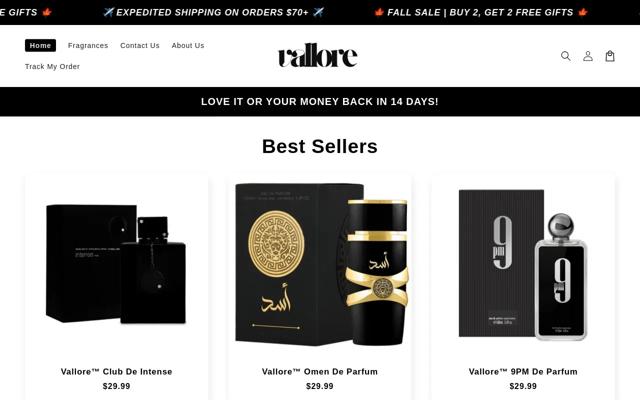 Vallore website screenshot