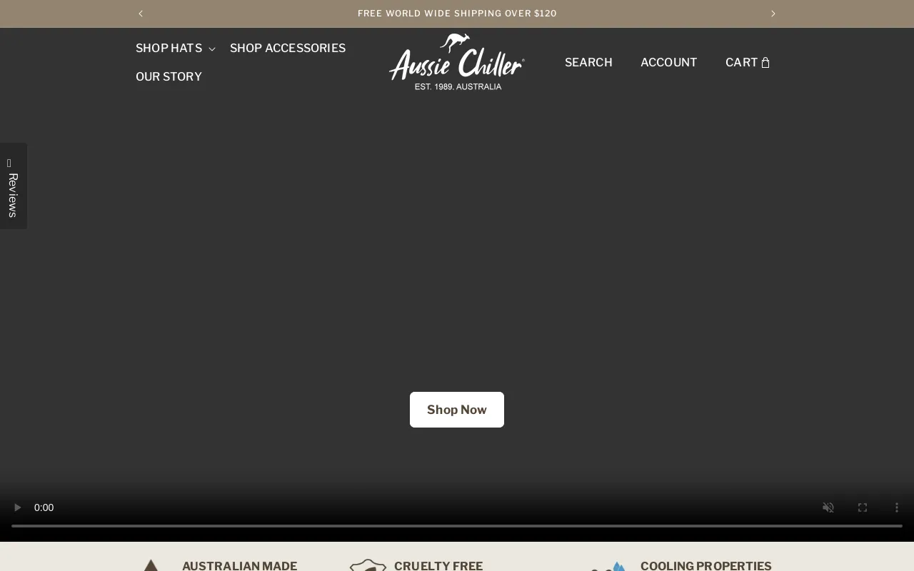 Aussie Chiller screenshot