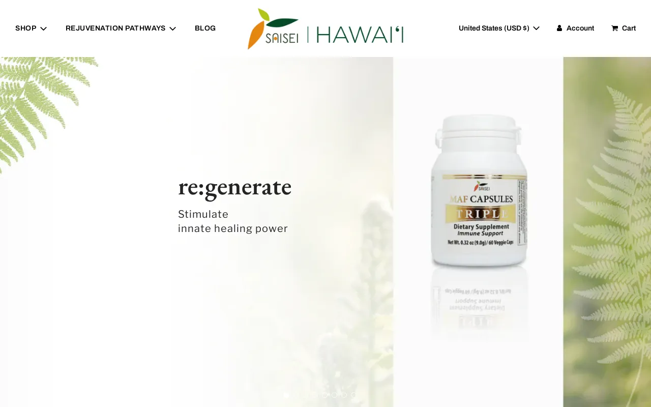 SAISEI HAWAII USA screenshot