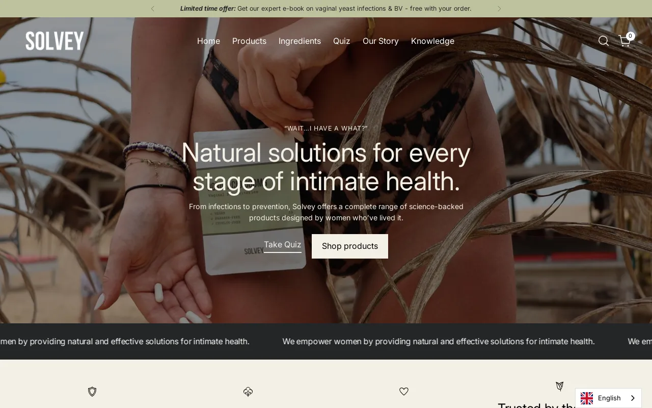 SolveyFem screenshot