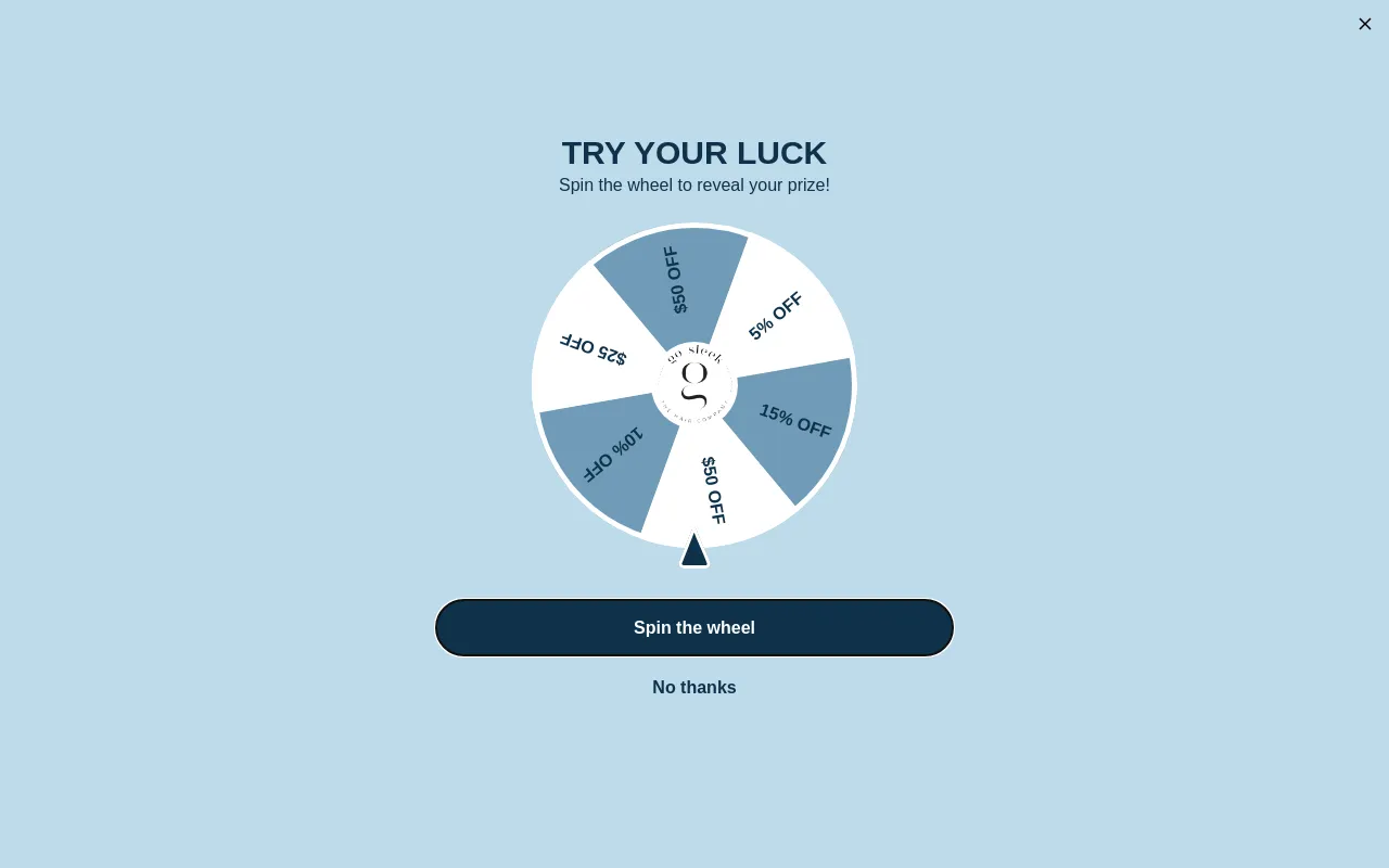 GO SLEEK THE HAIR CO. screenshot