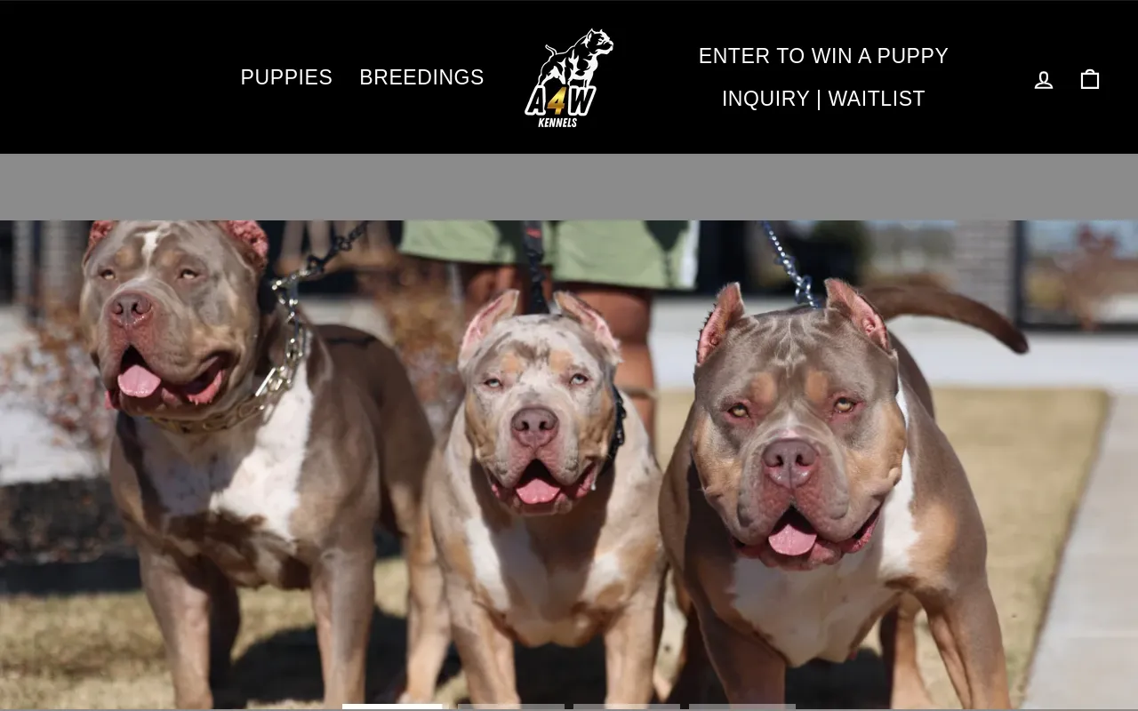All4Wealth Kennels screenshot