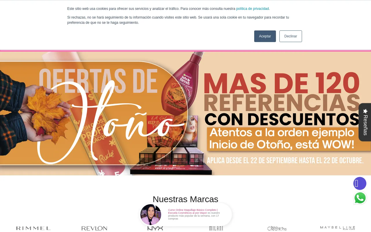 Cosmeticosalpormayor.com screenshot
