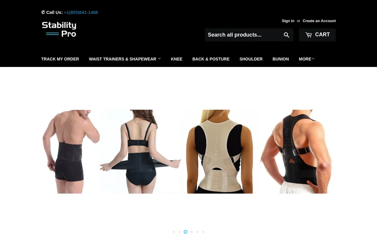 StabilityPro™ website screenshot