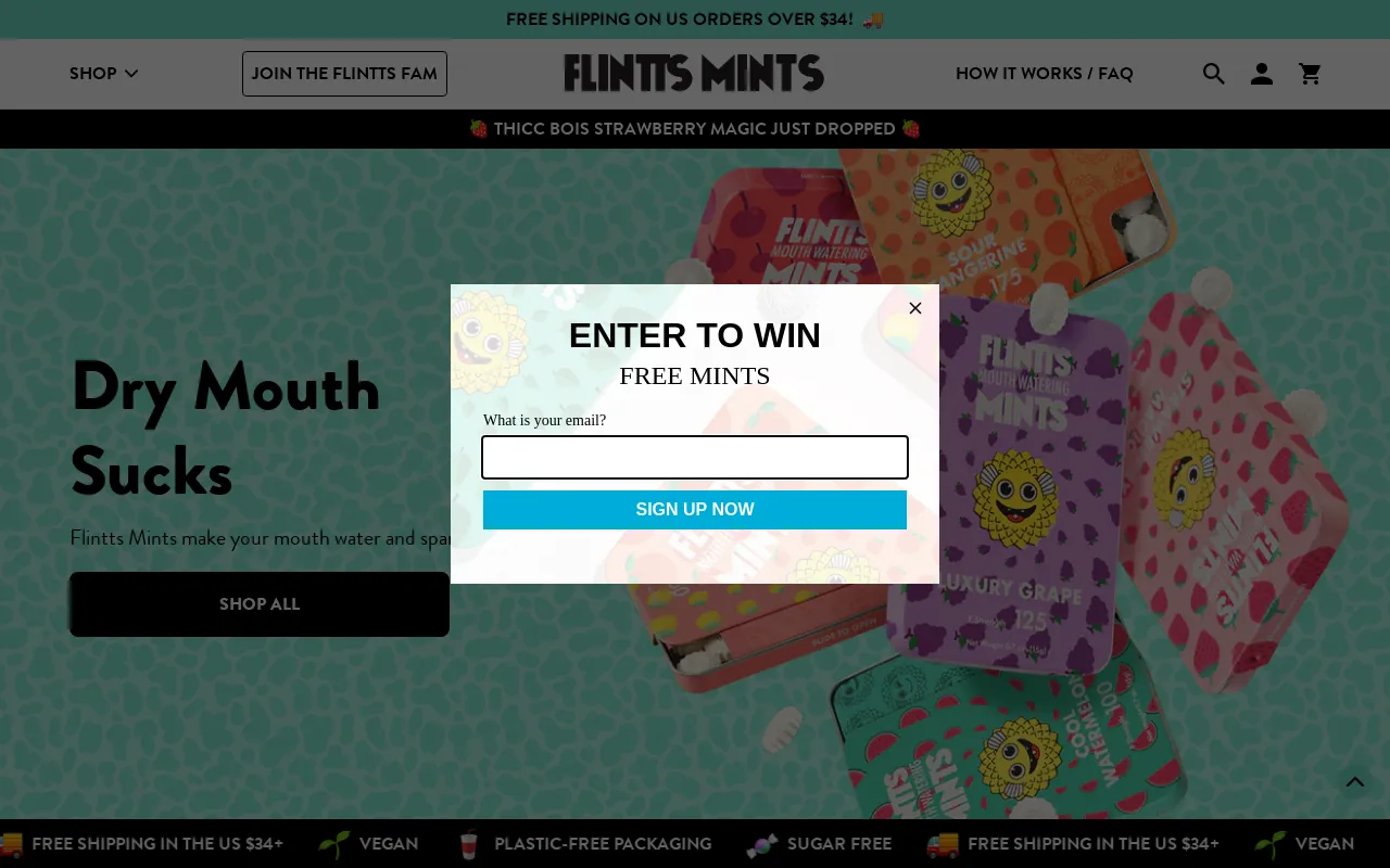Flintts screenshot