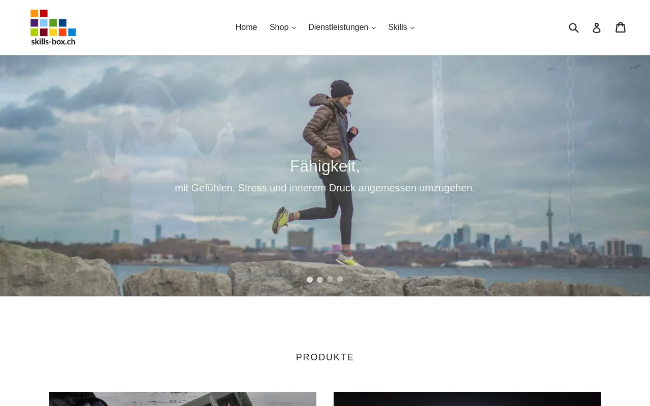 skills website screenshot