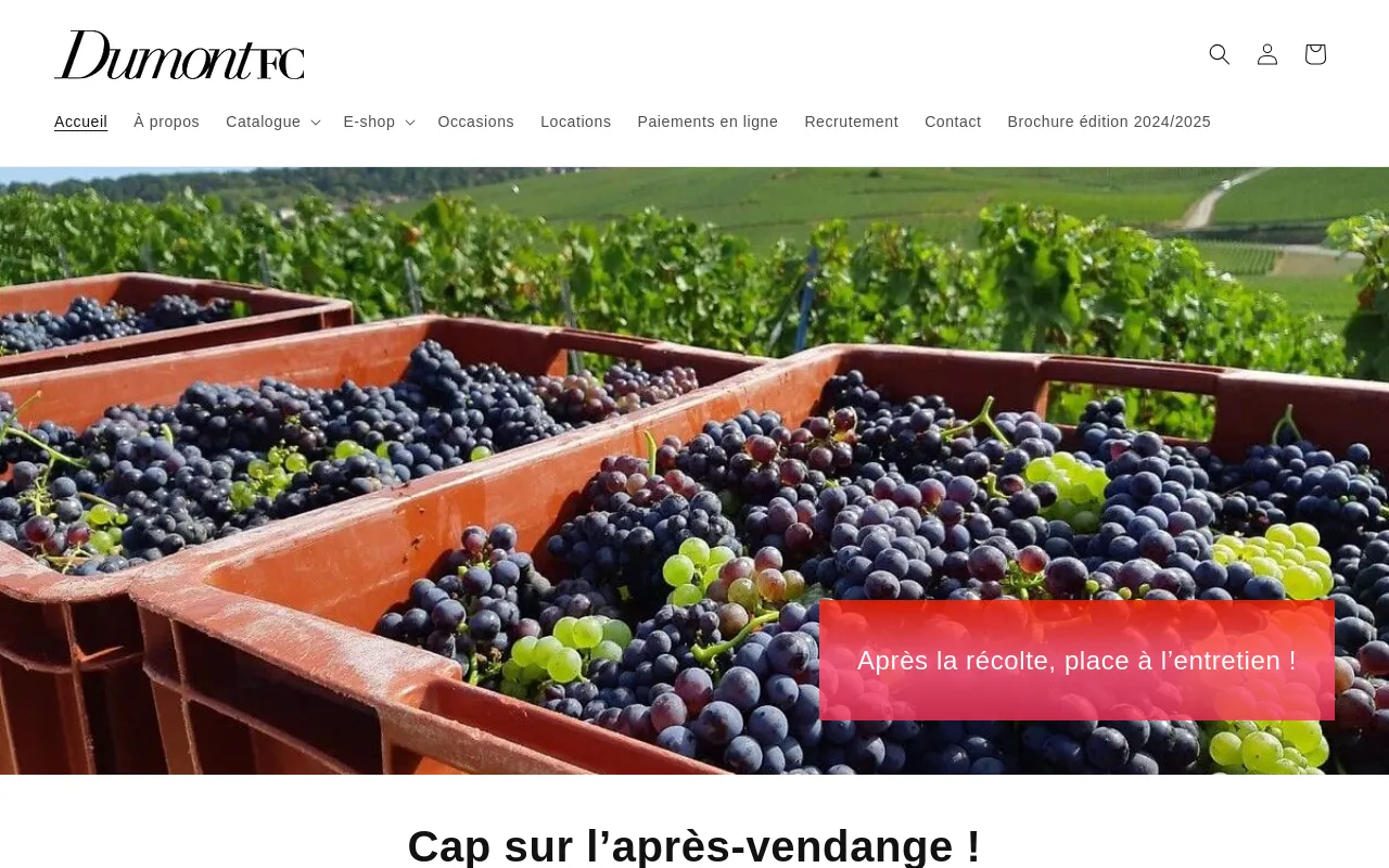 dumont-francecave.com screenshot