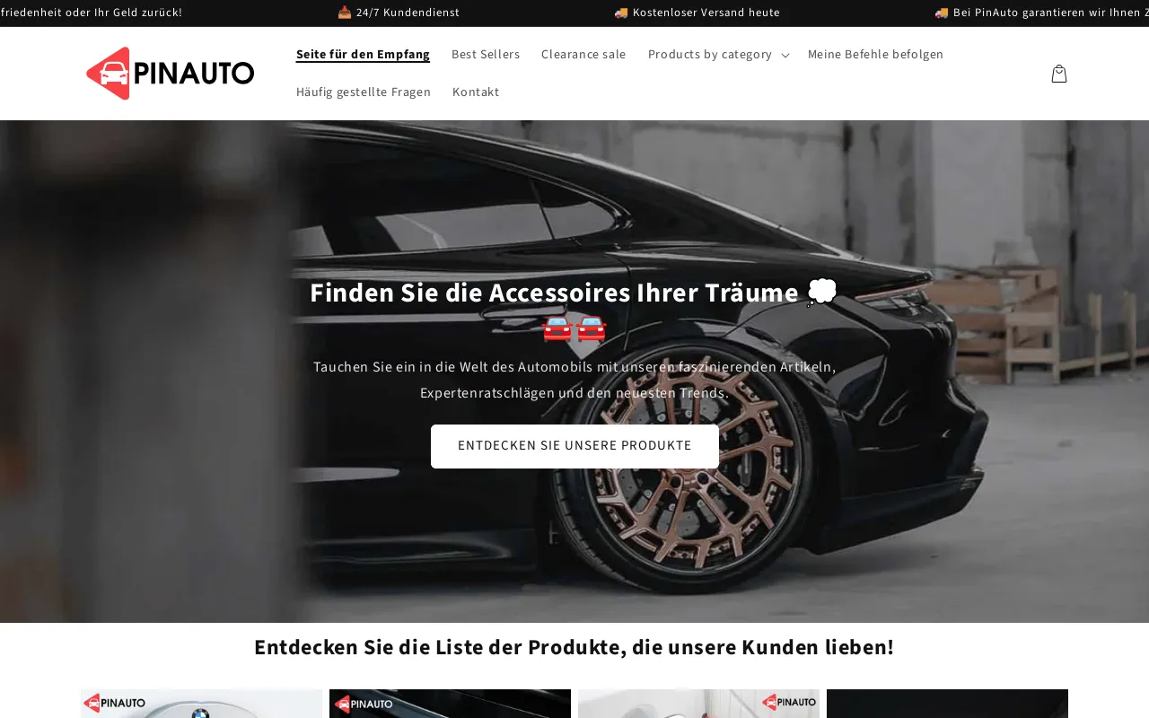 Pinauto WW screenshot