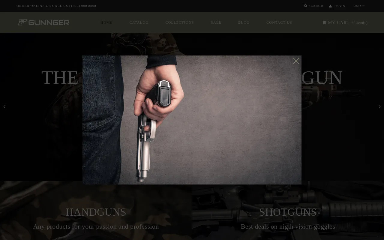 Gunnger screenshot