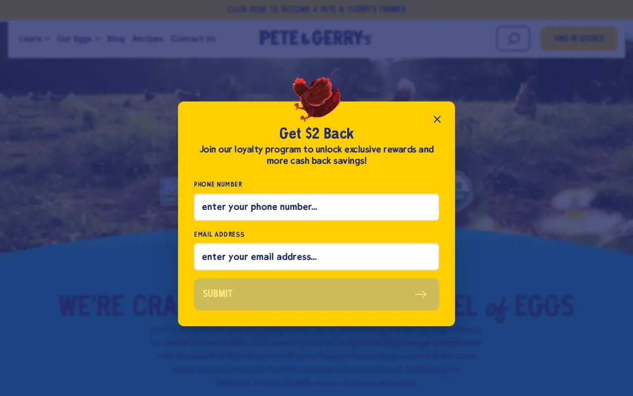 Pete & Gerry's screenshot