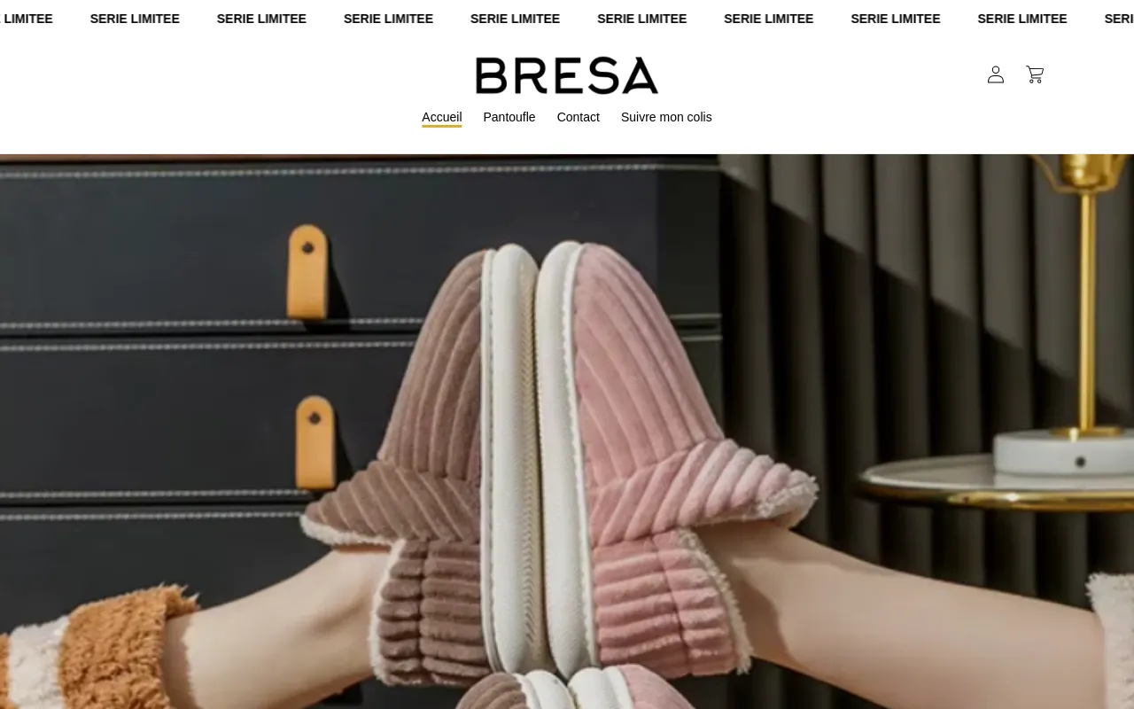 Bresa website screenshot