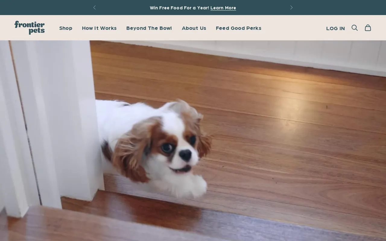 Frontier Pets screenshot