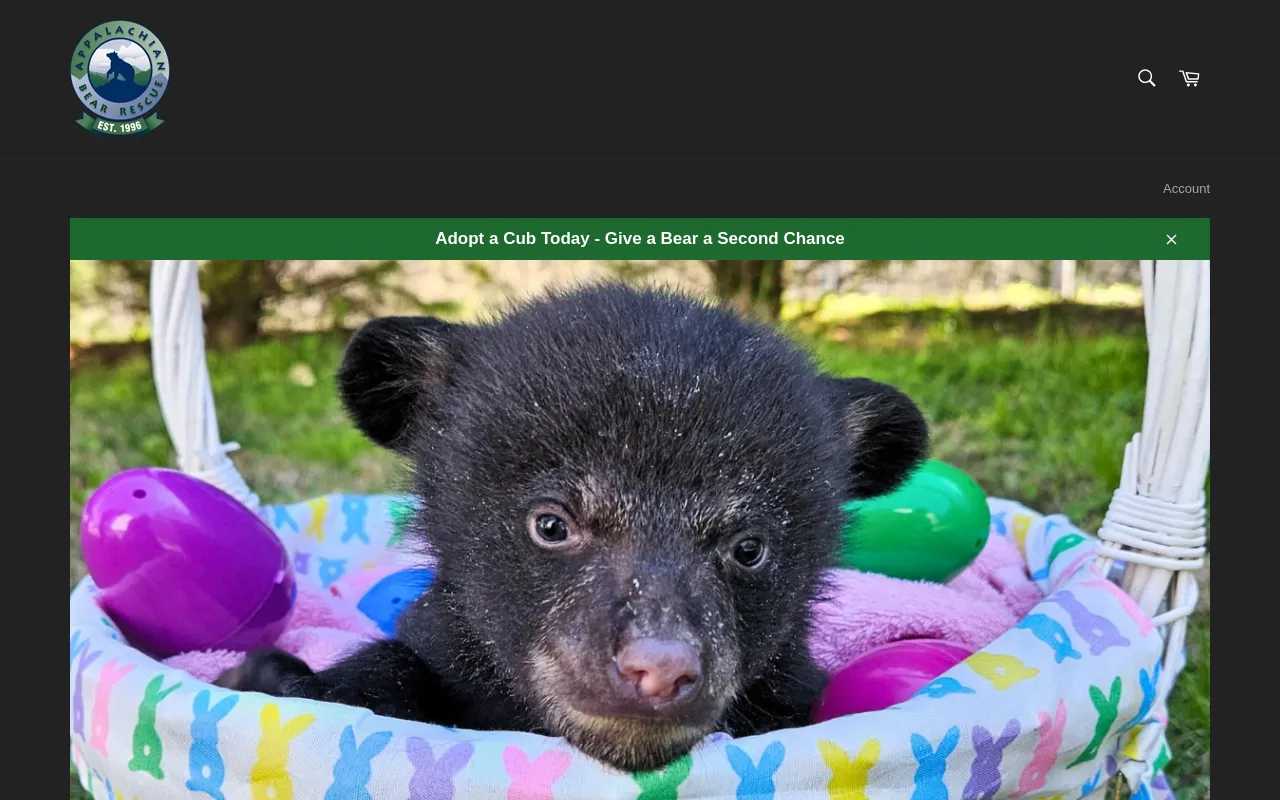 Appalachian Bear Rescue screenshot