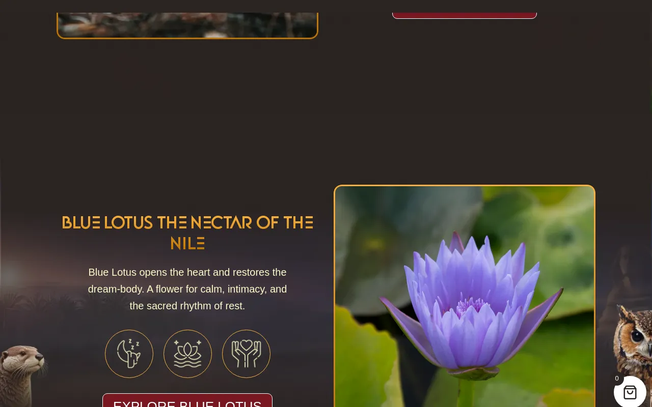www.mn-nice-ethnobotanicals.com screenshot