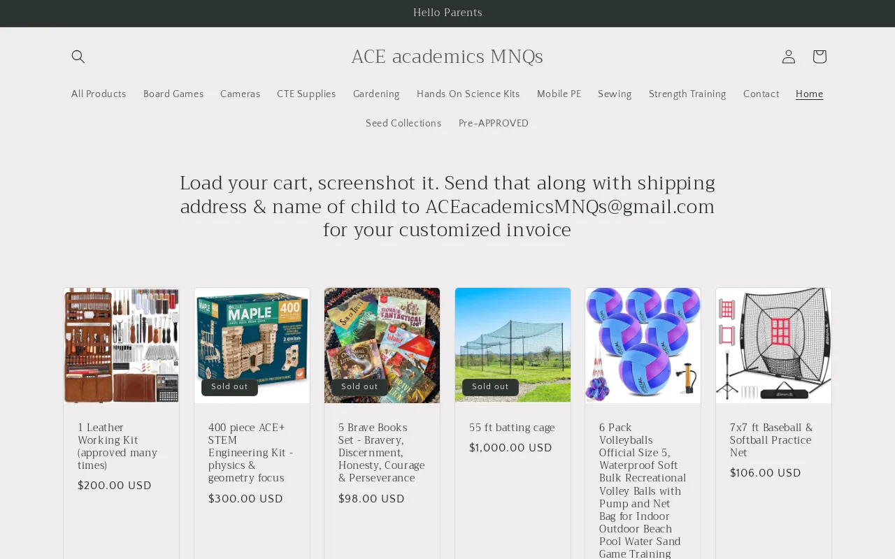 ACE academics MNQs website screenshot