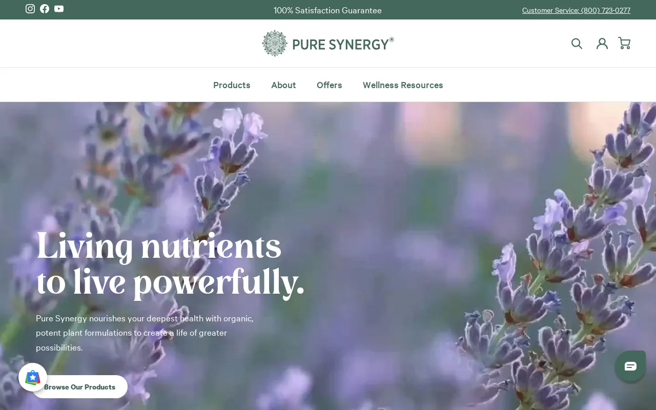 Pure Synergy screenshot