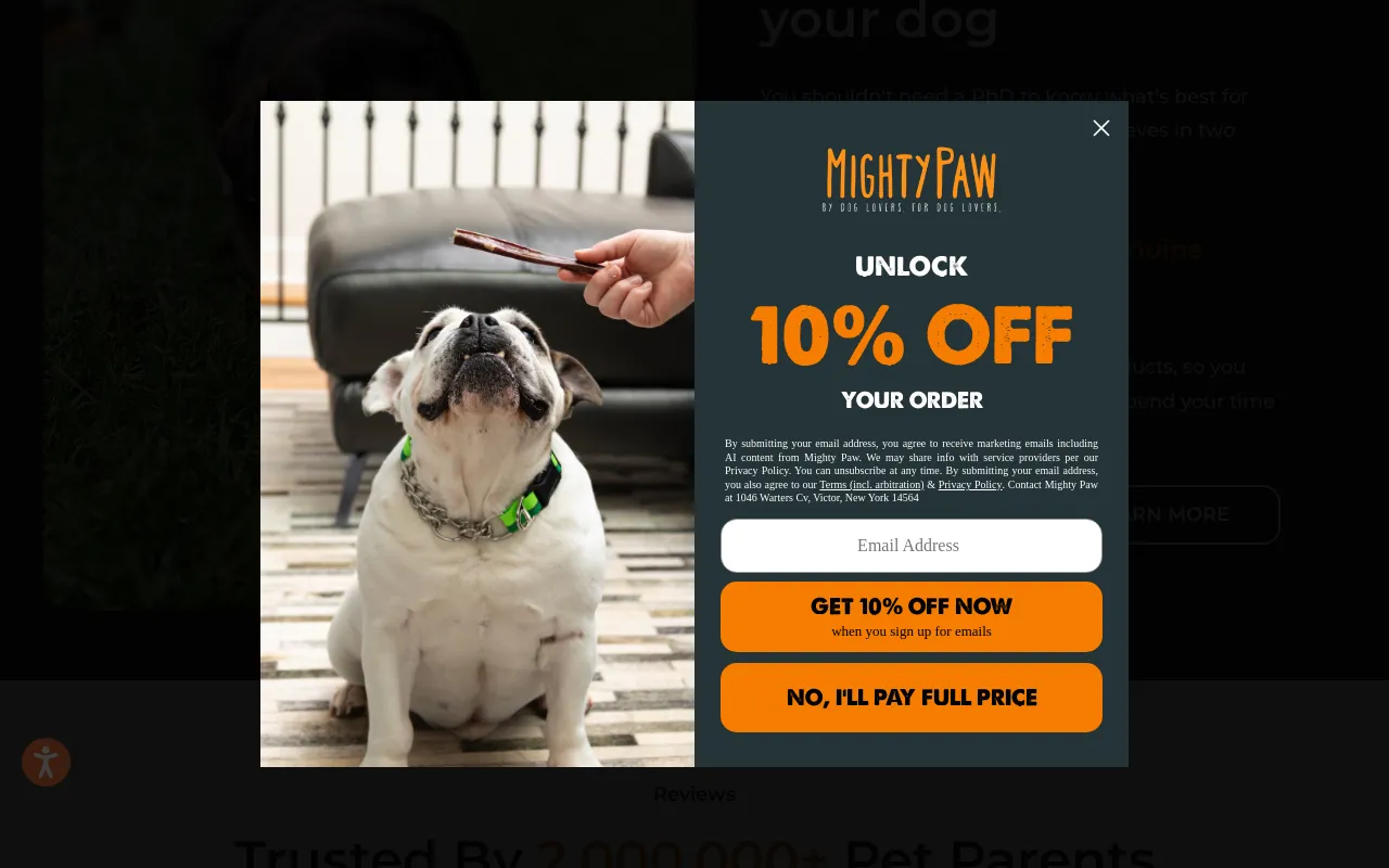 Mighty Paw screenshot