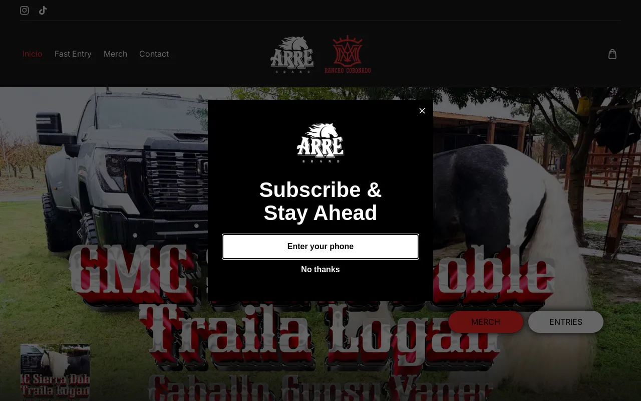 Arre Brand website screenshot