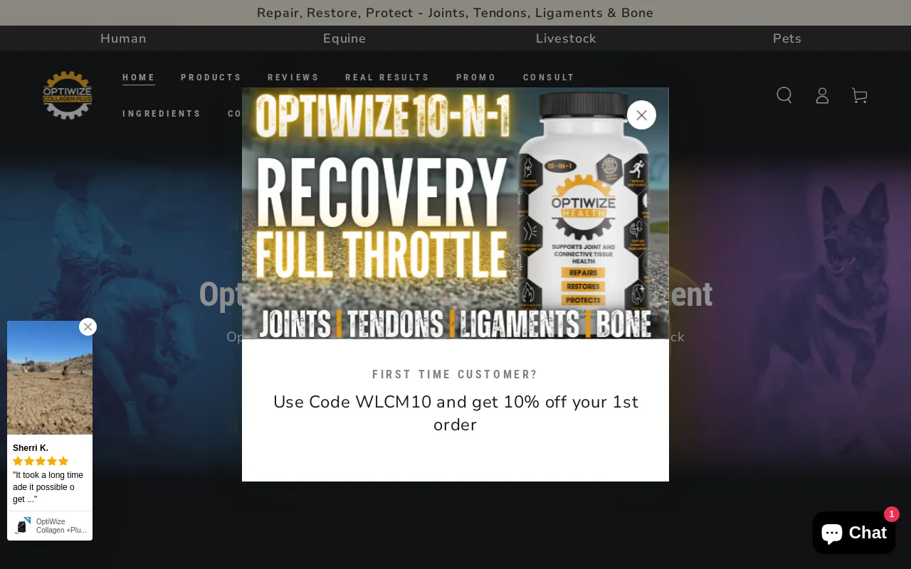 OptiWize screenshot