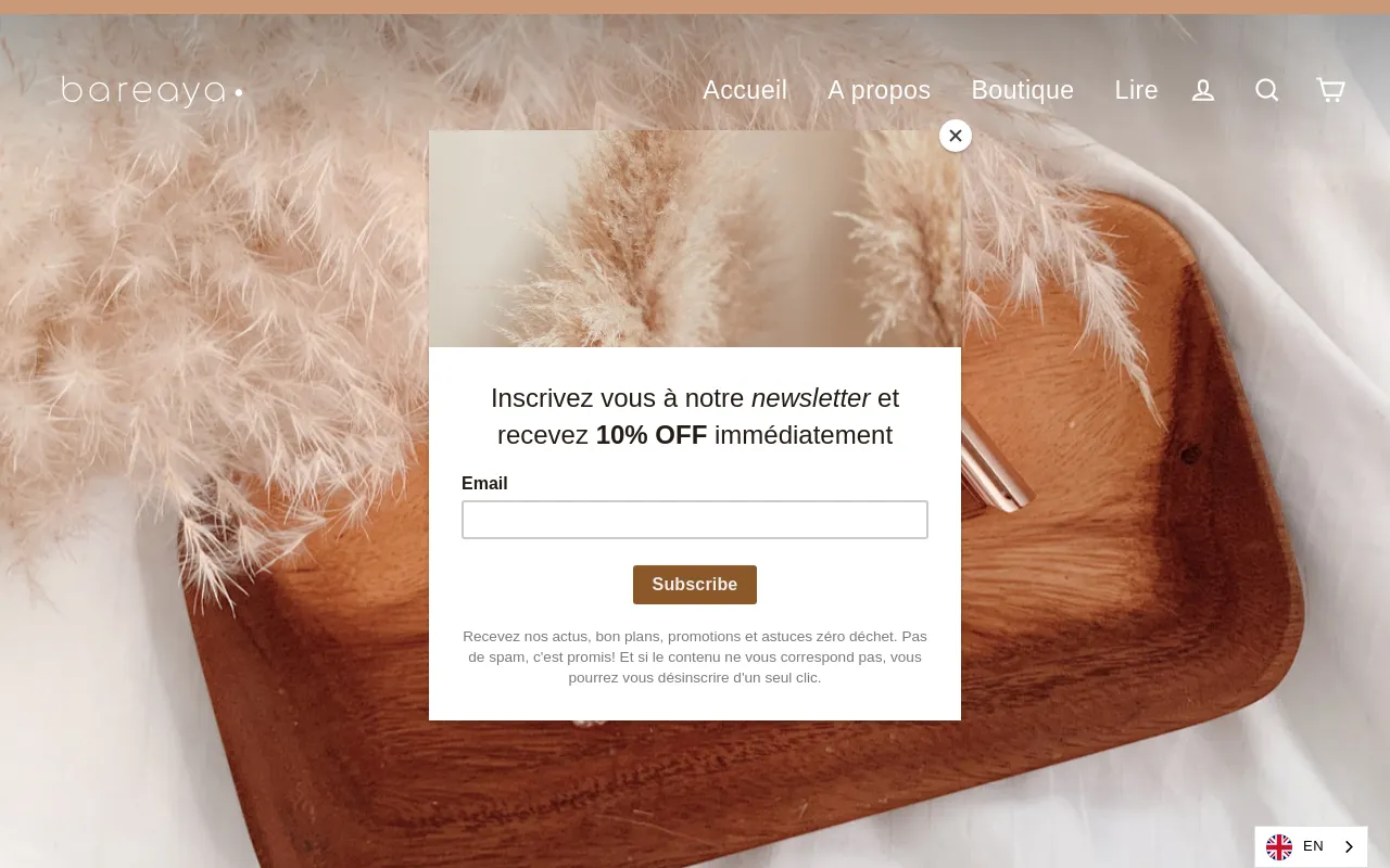 Bareaya website screenshot