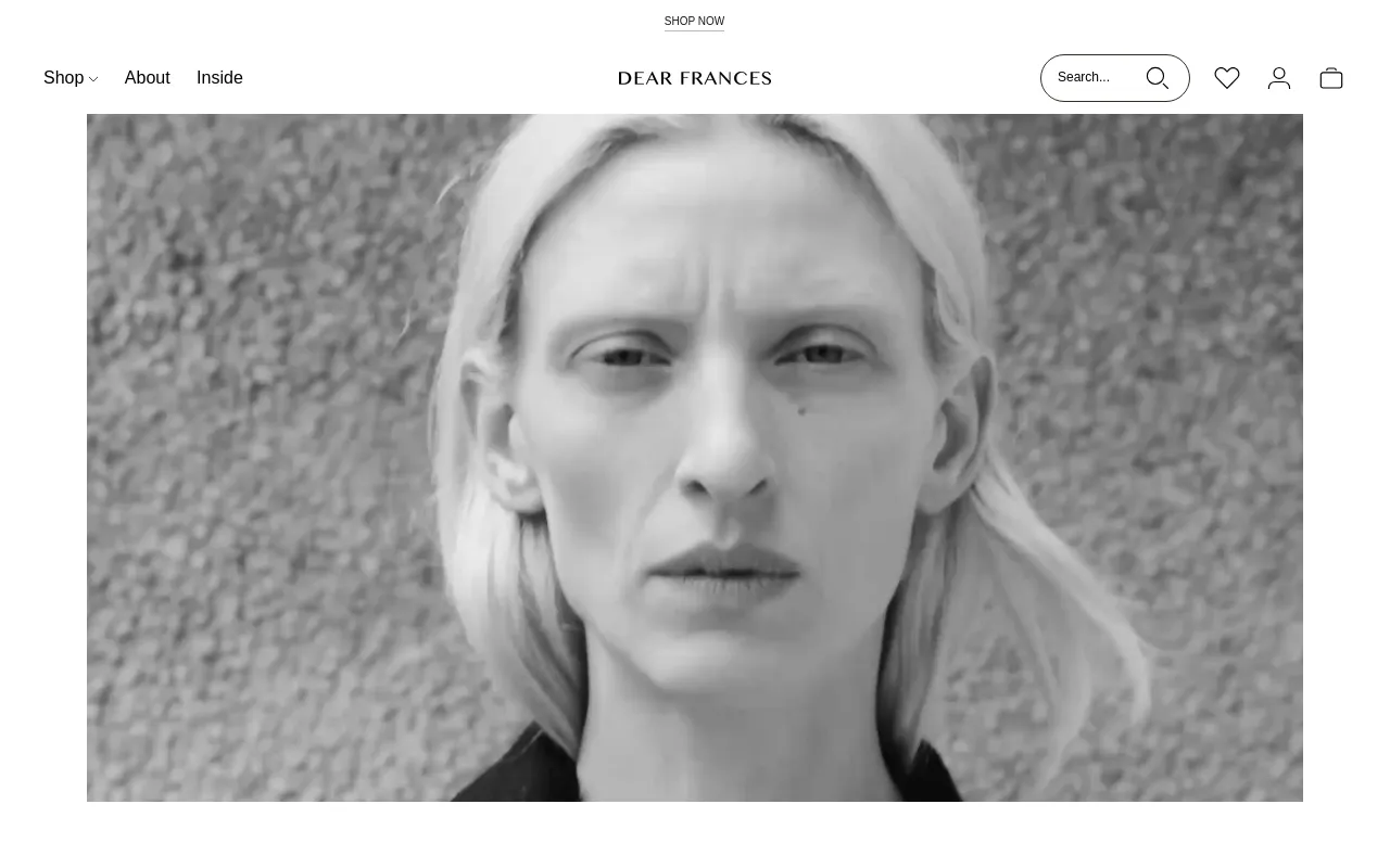 Dear Frances screenshot