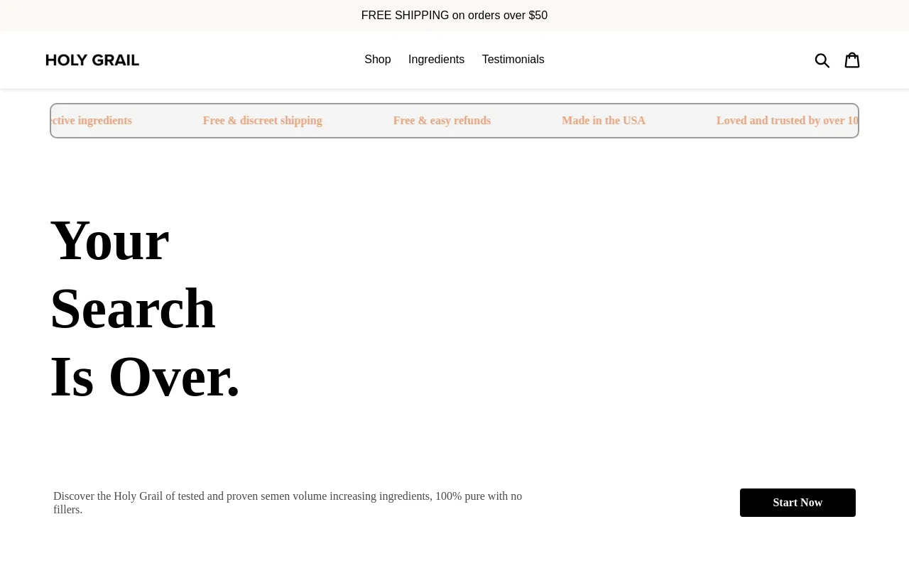 getyourholygrail.com screenshot