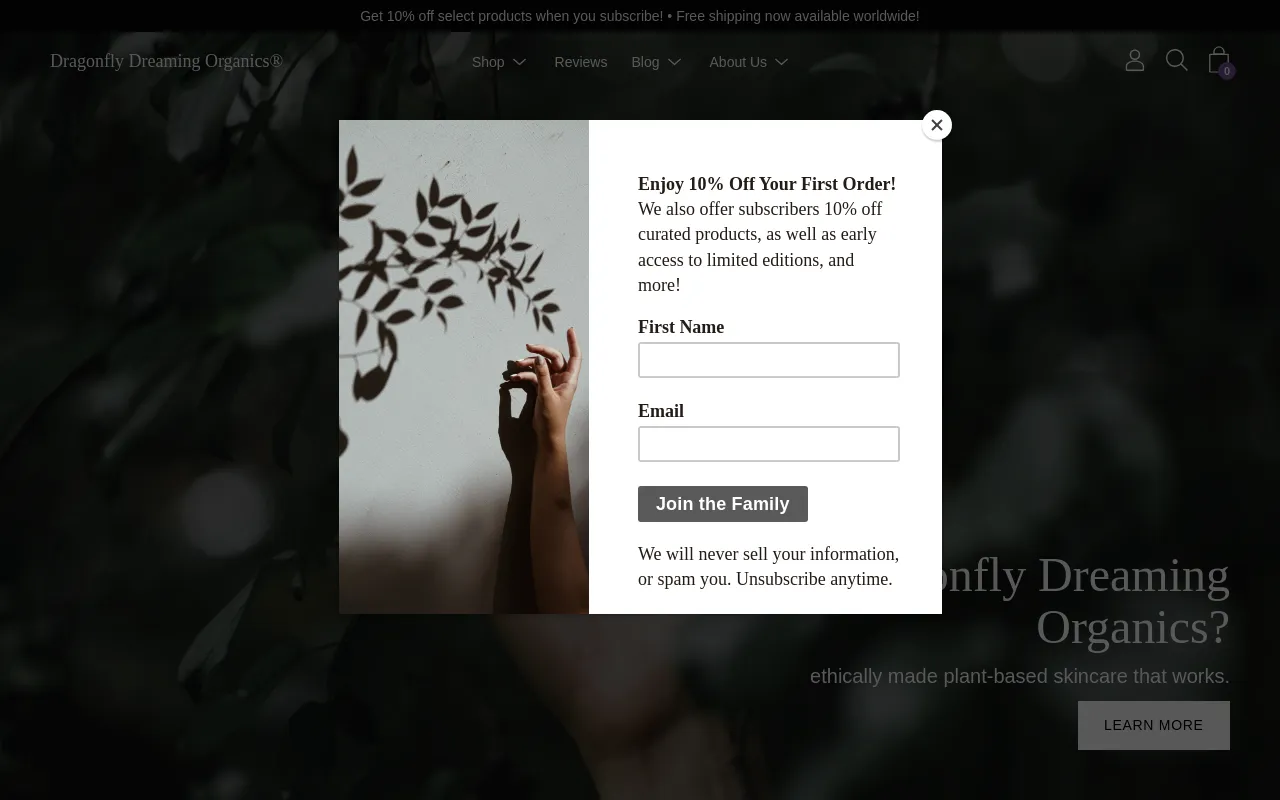 dragonflydreaming.com screenshot