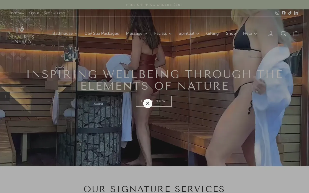 www.naturesenergy.com.au screenshot