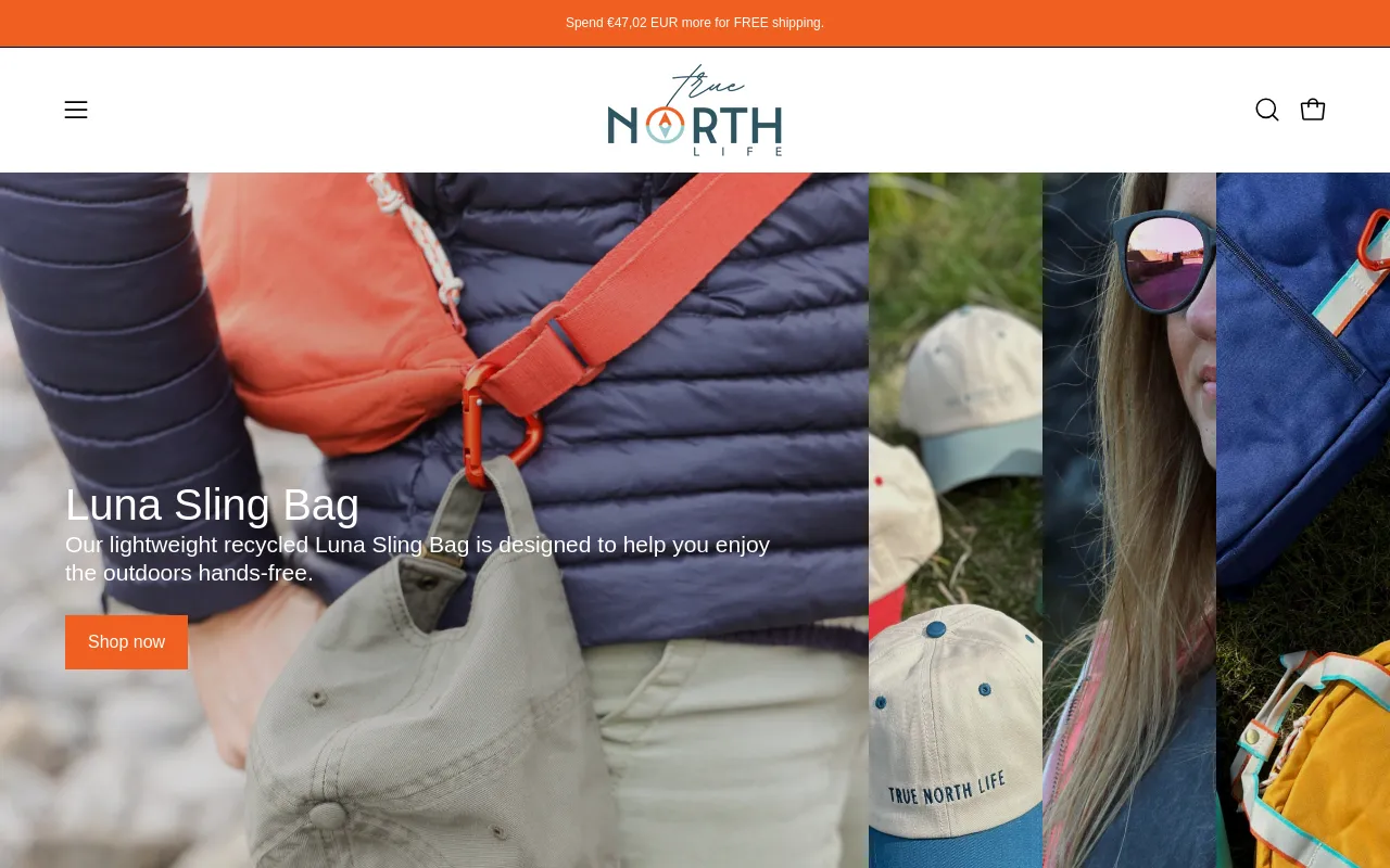 True North Life screenshot