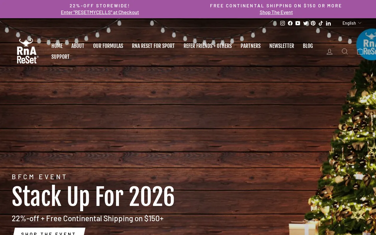 RnA ReSet screenshot