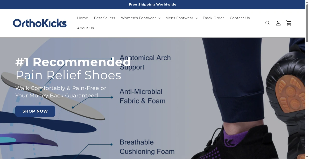 OrthoKicks website screenshot