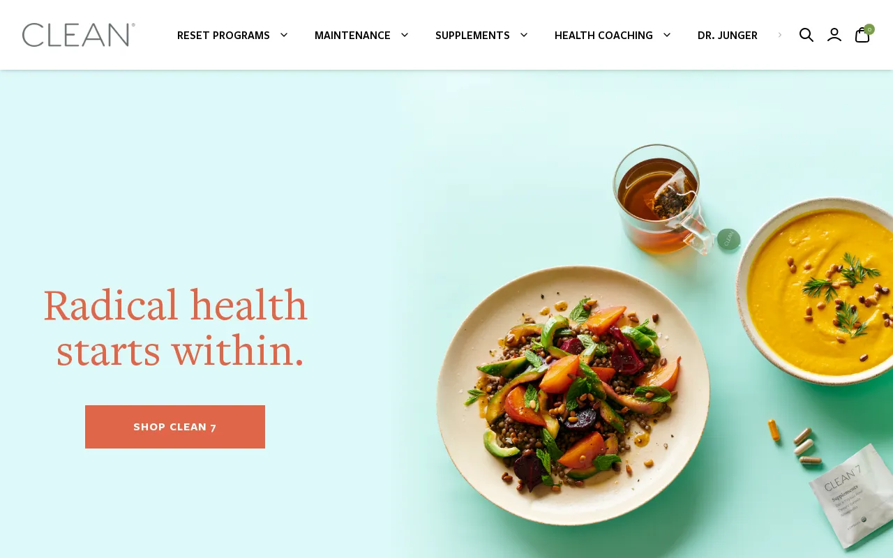 Clean Program screenshot