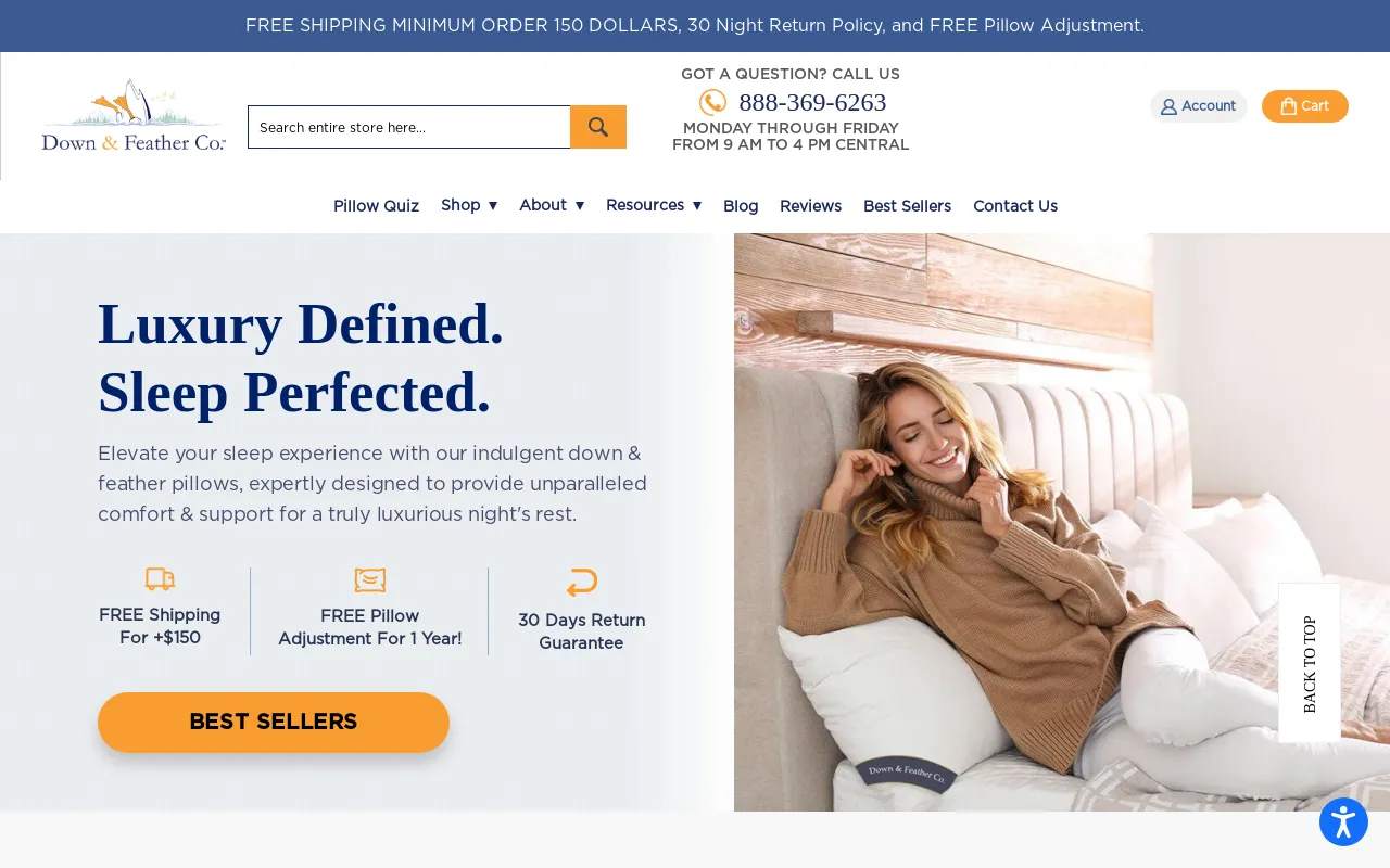 Down & Feather Co. screenshot