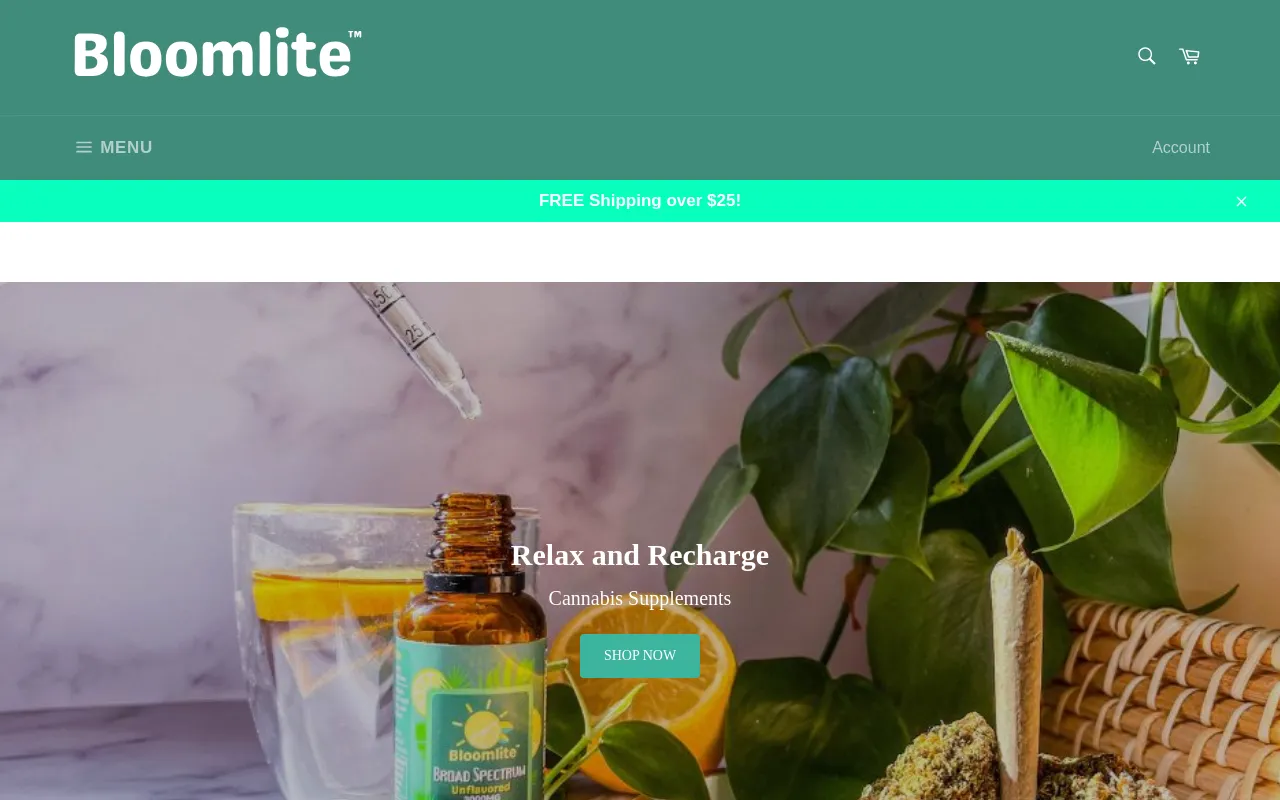 bloomliteshop.com screenshot