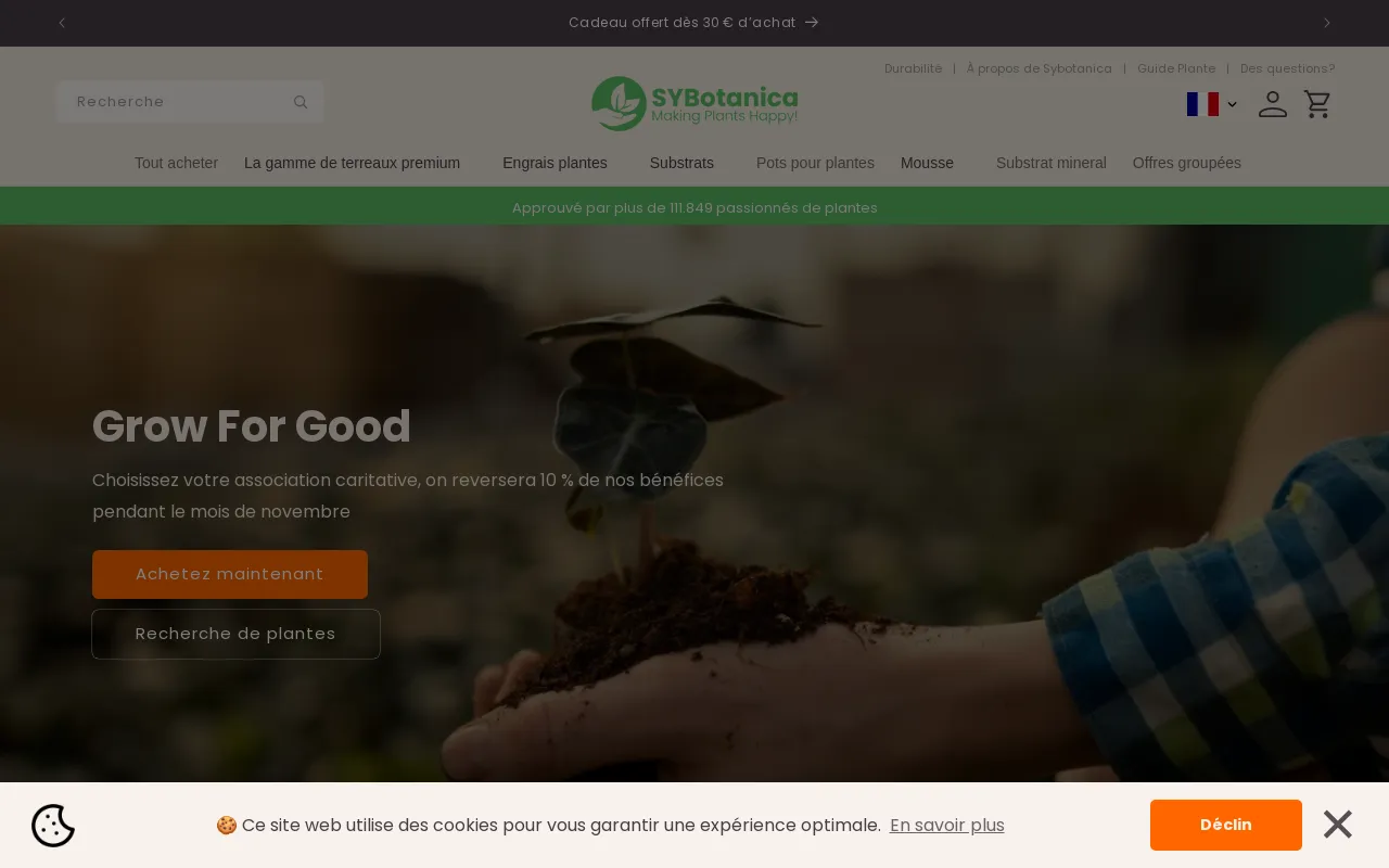 Sybotanica screenshot