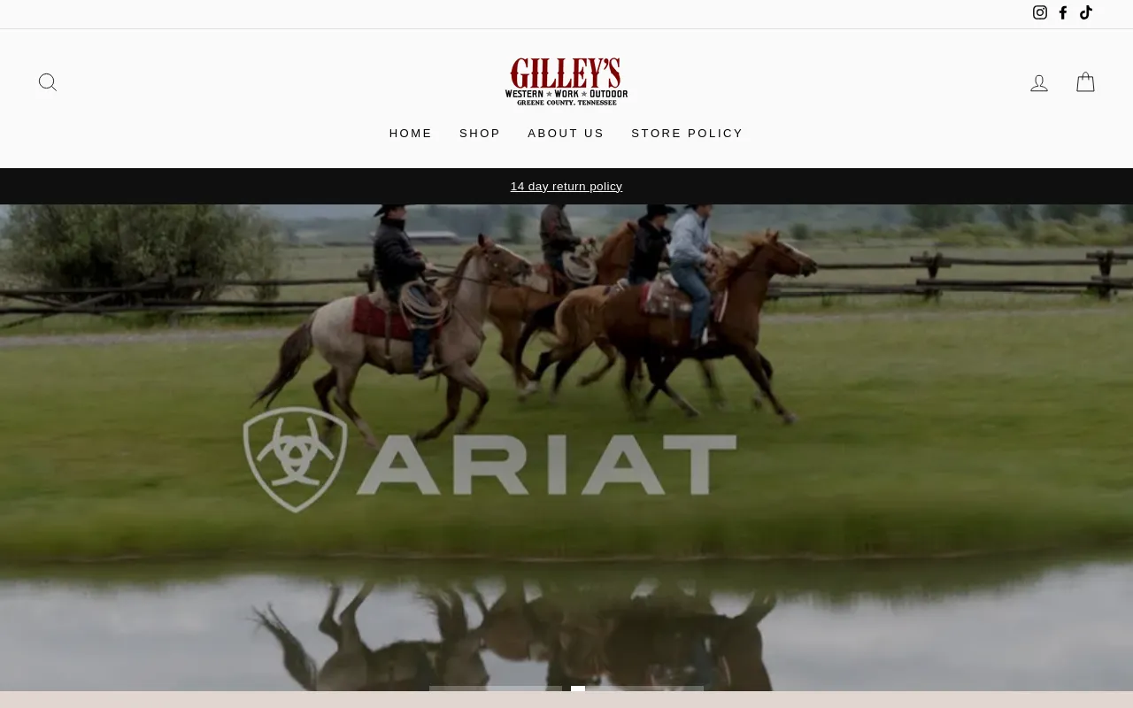 Gilleys Western*Work*Outdoor screenshot